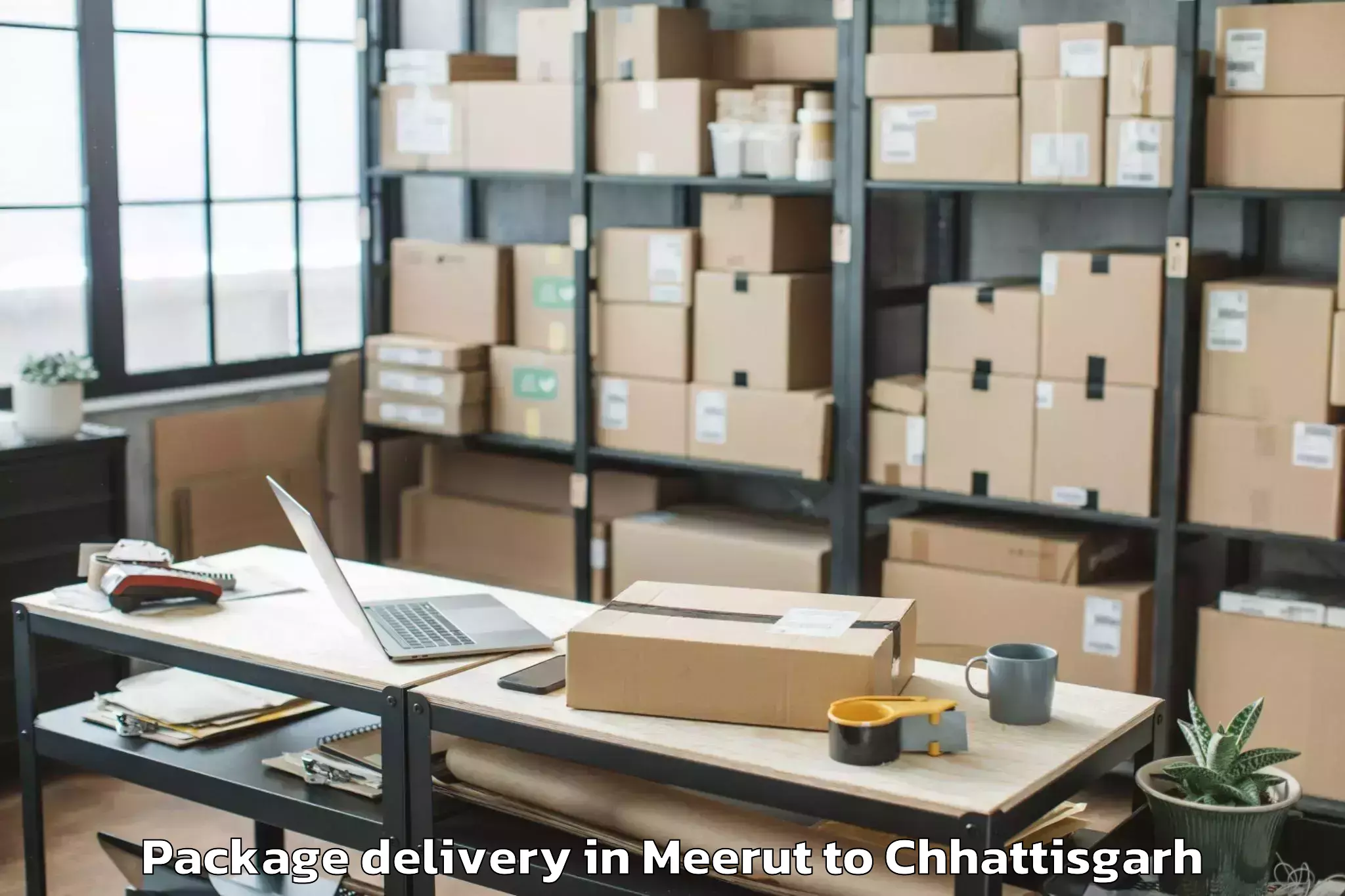 Leading Meerut to Nit Raipur Package Delivery Provider